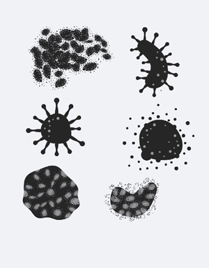 mold allergy