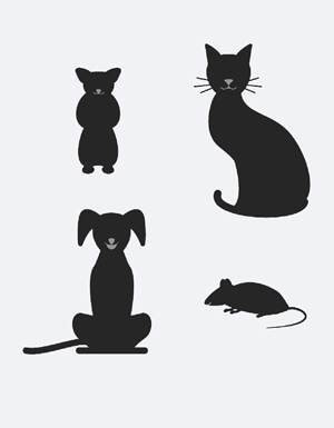 pet allergy