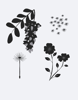 pollen allergy